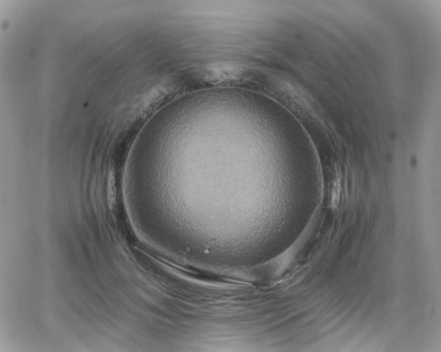 X0000066520700200603241337