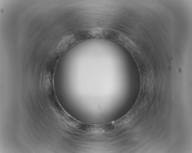 X0000066520702200603241337