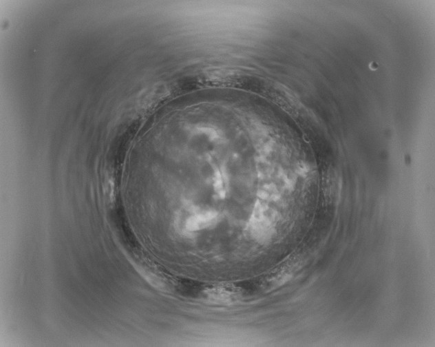 X0000066520703200603241337