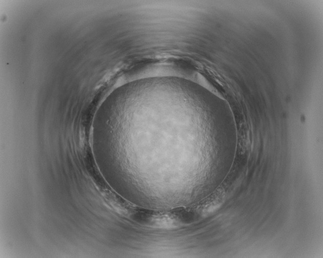 X0000066520704200603241337