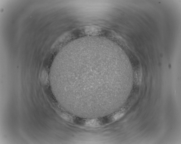 X0000066520705200603241337