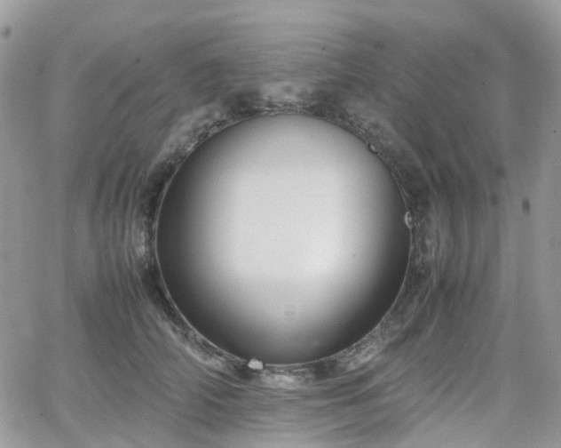 X0000066520706200603241337