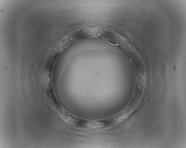 X0000066520707200603241337