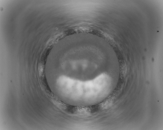 X0000066520709200603241337