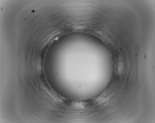 X0000066520710200603241337