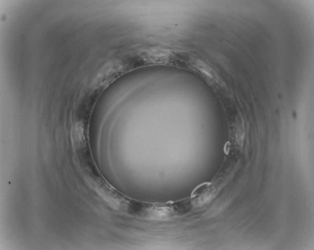 X0000066520711200603241336