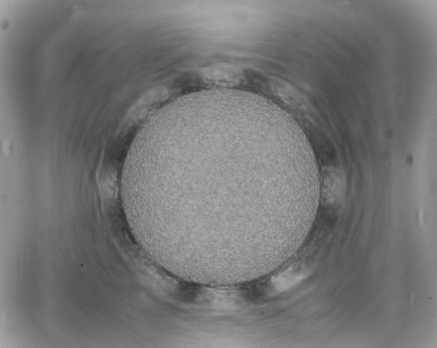 X0000066520713200603241336