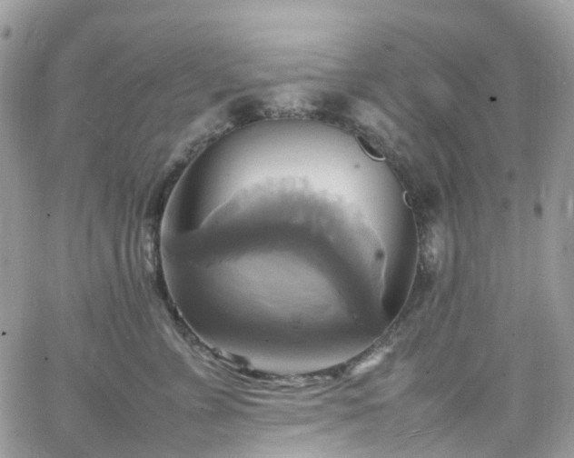 X0000066520715200603241336