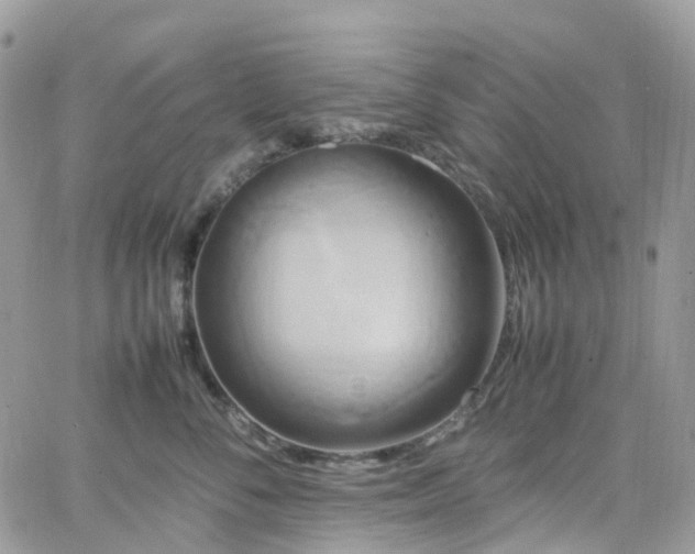 X0000066520716200603241336