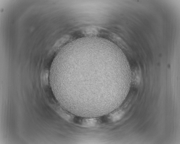 X0000066520717200603241336