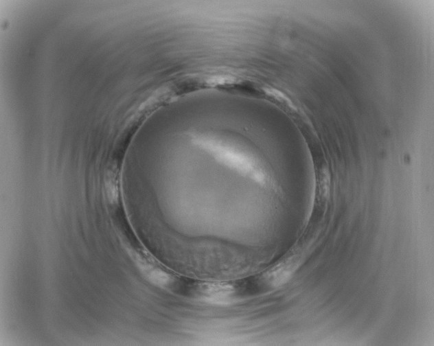 X0000066520719200603241336