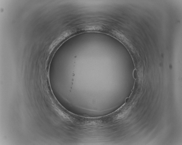 X0000066520721200603241336