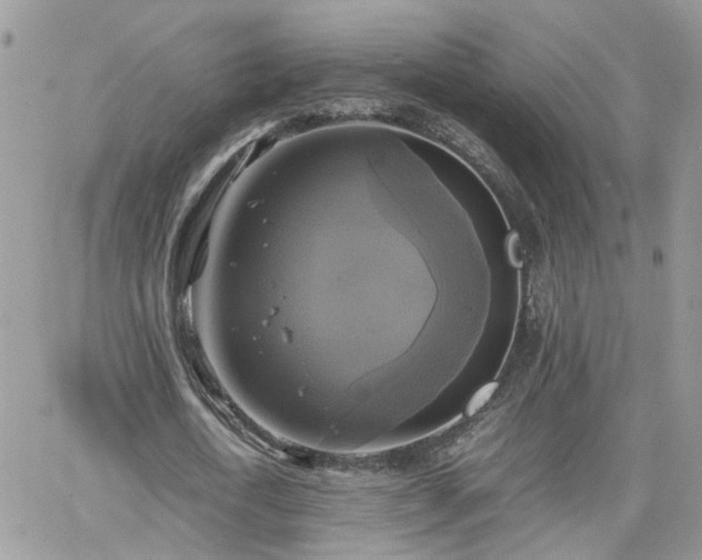 X0000066520722200603241336