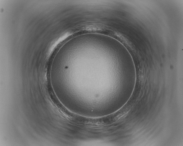 X0000066520727200603241336