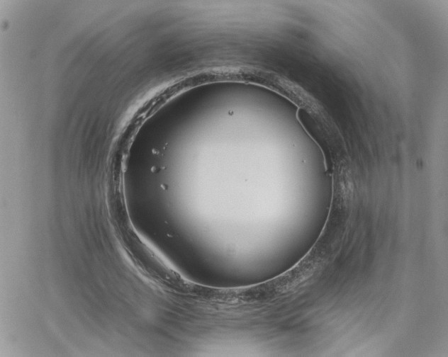 X0000066520728200603241336