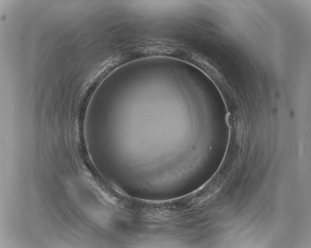 X0000066520729200603241336