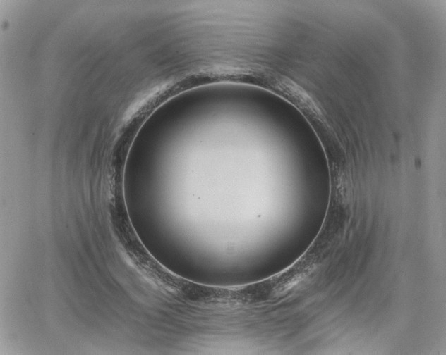 X0000066520732200603241336