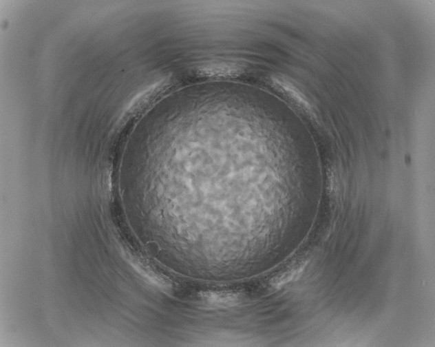 X0000066520733200603241336