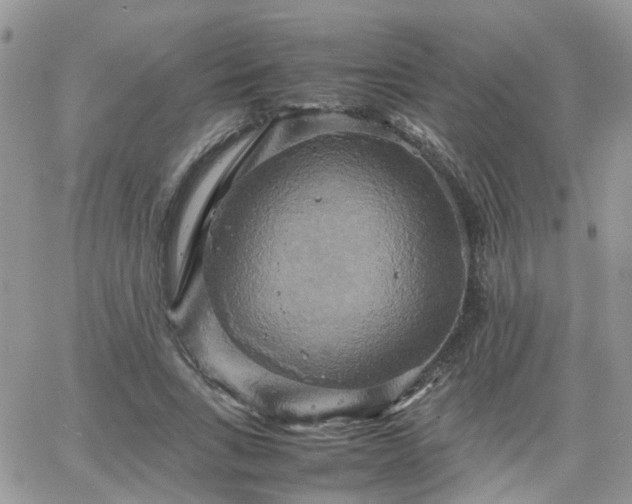 X0000066520735200603241336