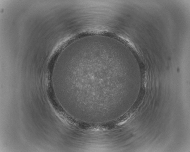 X0000066520736200603241336