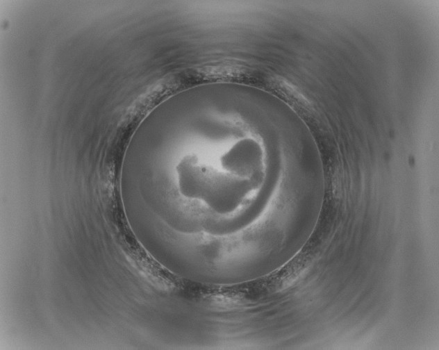 X0000066520737200603241336