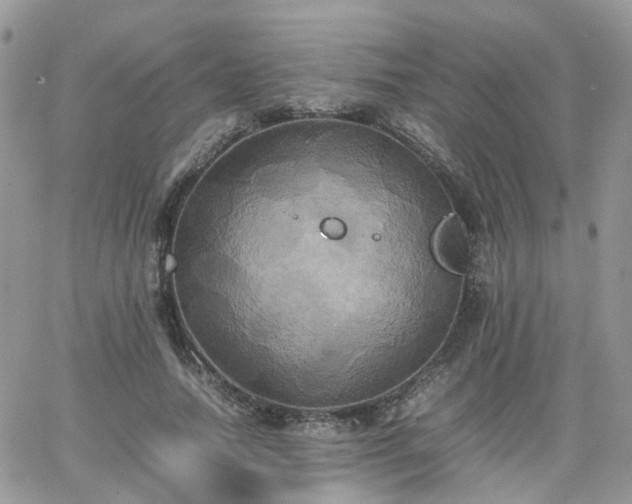 X0000066520738200603241336