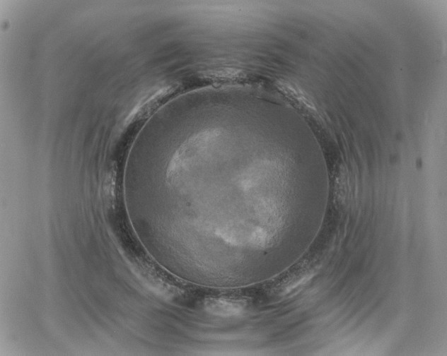 X0000066520739200603241336