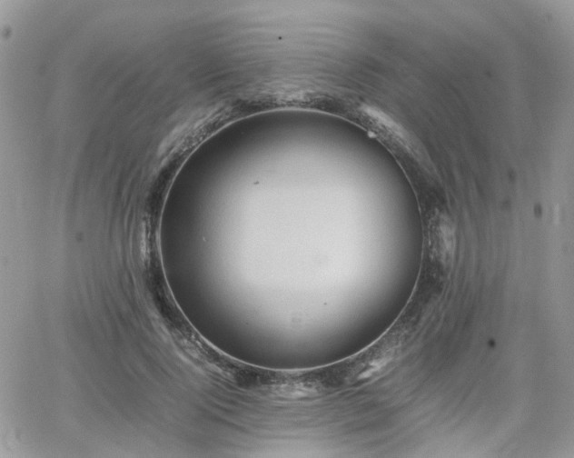 X0000066520740200603241336