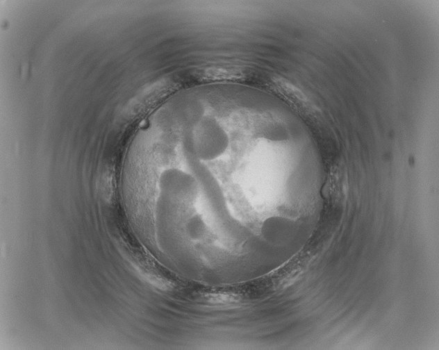 X0000066520741200603241336