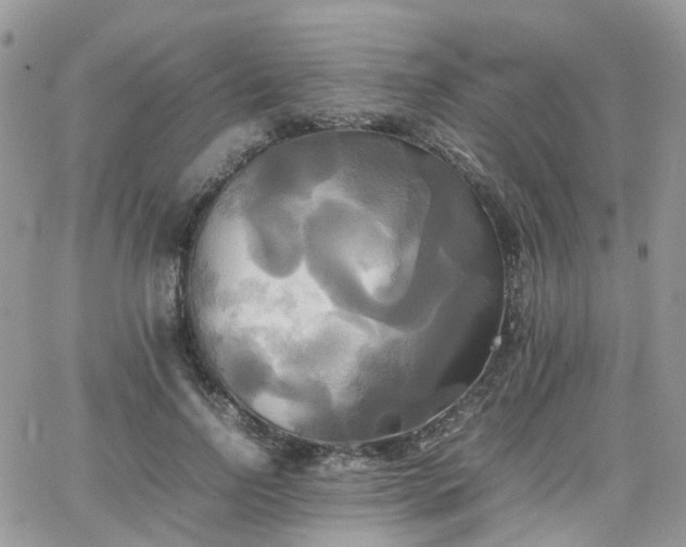 X0000066520742200603241336