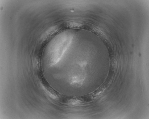 X0000066520743200603241336