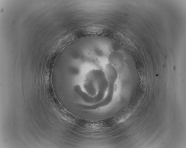 X0000066520745200603241336