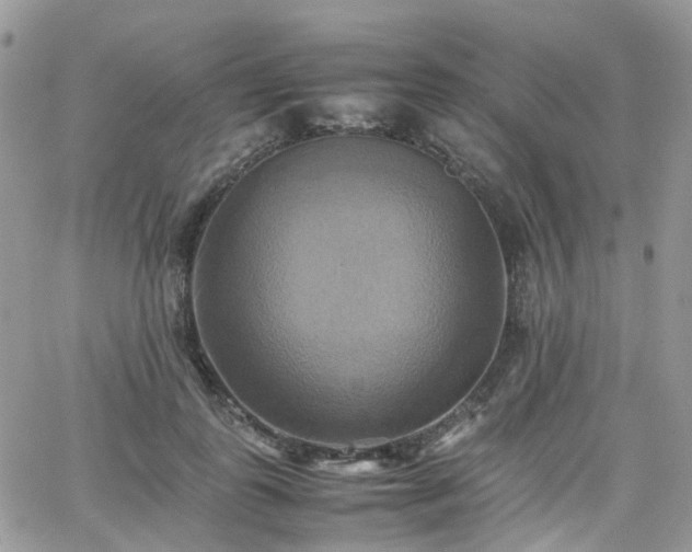 X0000066520747200603241336