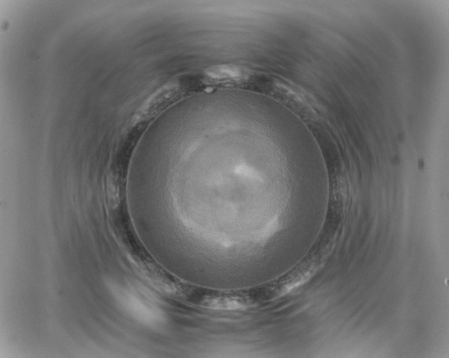 X0000066520751200603241336