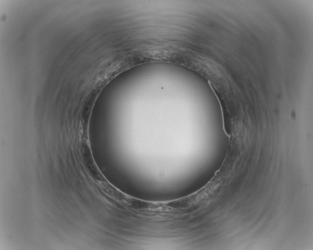 X0000066520752200603241336