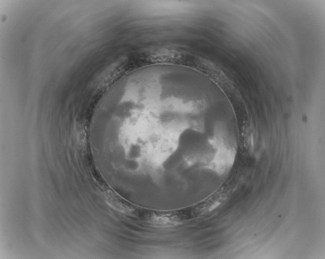 X0000066520753200603241336