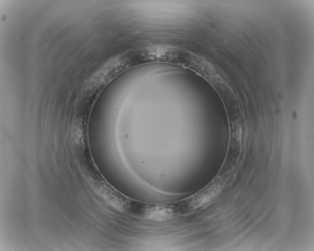 X0000066520754200603241336