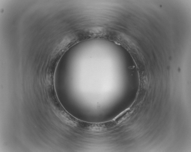 X0000066520756200603241336