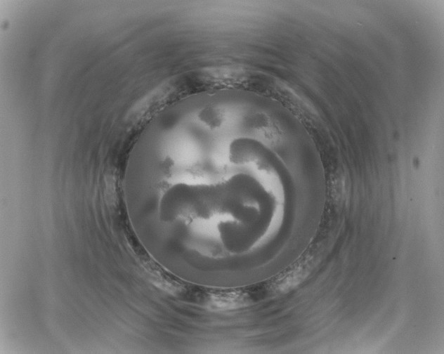 X0000066520757200603241336