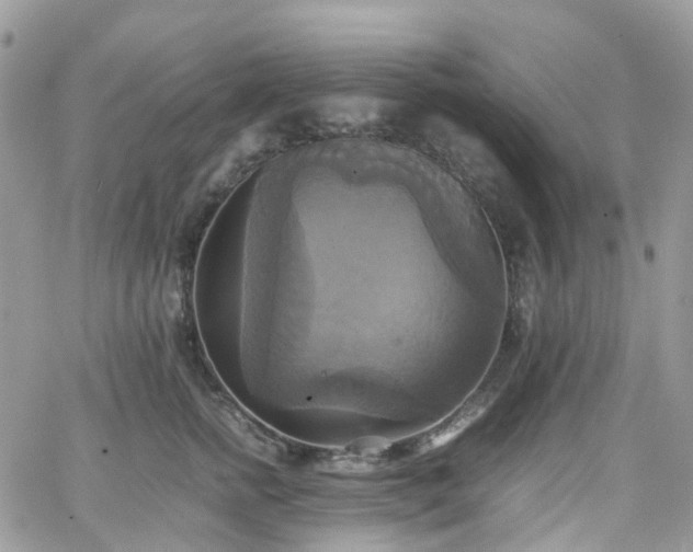 X0000066520758200603241336