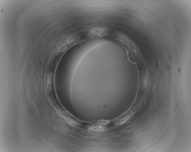 X0000066520759200603241336