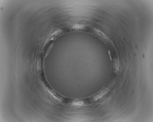 X0000066520760200603241336