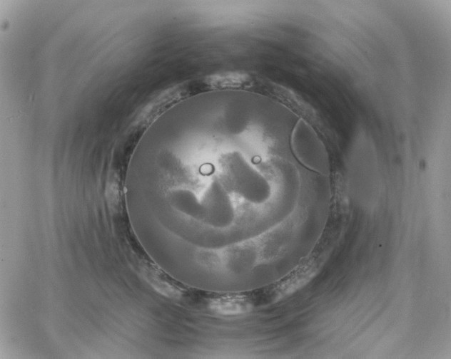 X0000066520761200603241336