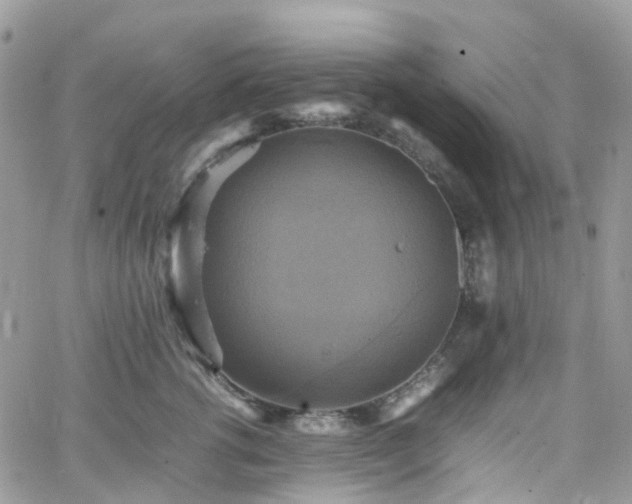 X0000066520762200603241336