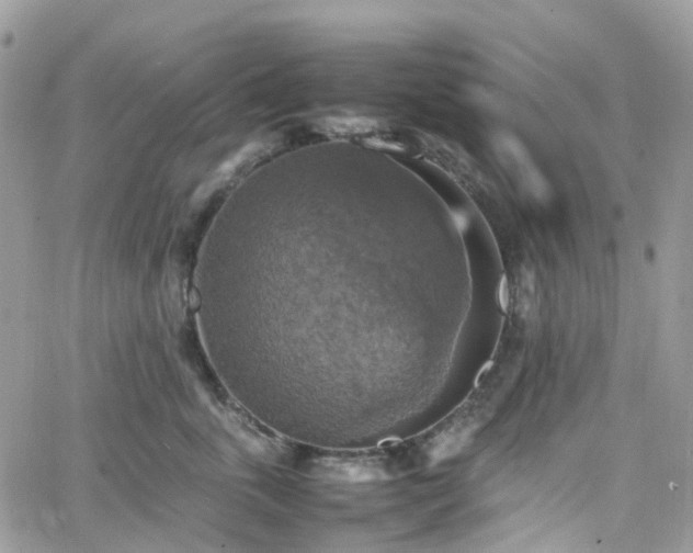 X0000066520763200603241336