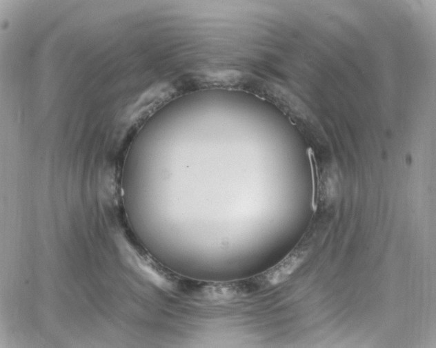 X0000066520764200603241336