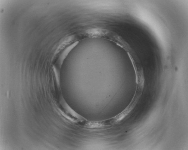 X0000066520766200603241336