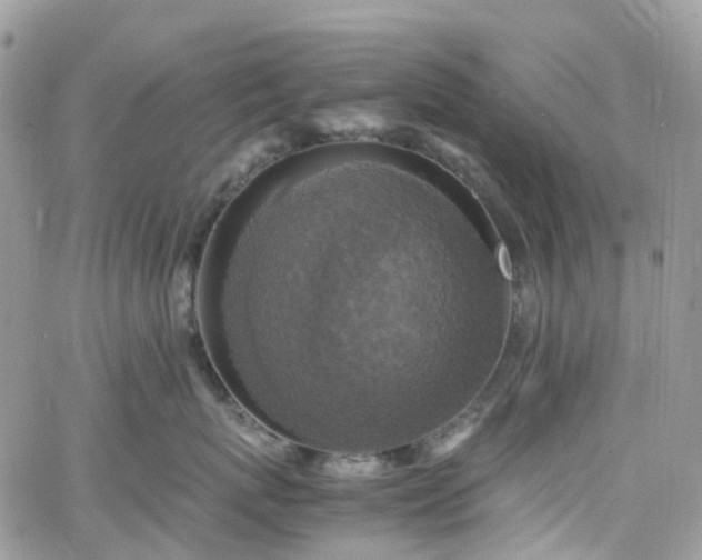 X0000066520767200603241336