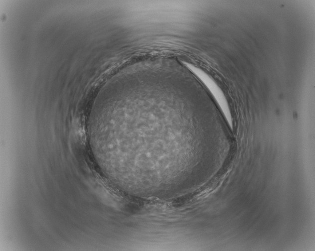 X0000066520771200603241336