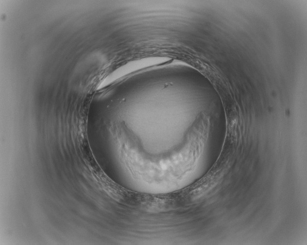 X0000066520772200603241336